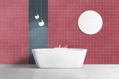 RAL 450-M