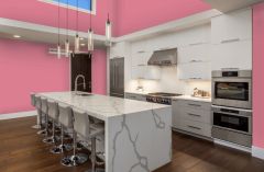 RAL 460-2