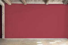 RAL 460-5