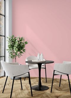RAL 480-2