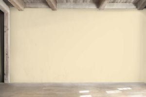 F392 Какао-масло