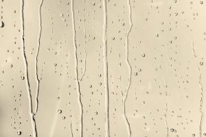 F392 Какао-масло