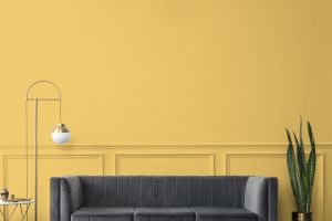 S302 Грейпфрут