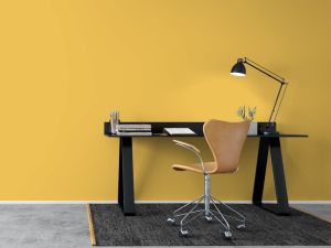 S302 Грейпфрут