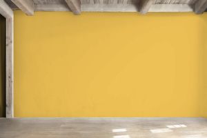 S302 Грейпфрут