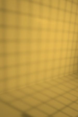 S302 Грейпфрут