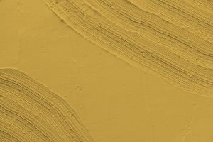 S302 Грейпфрут