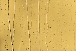 S302 Грейпфрут