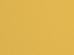 S302 Грейпфрут