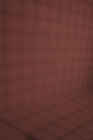 0384 Красное железо