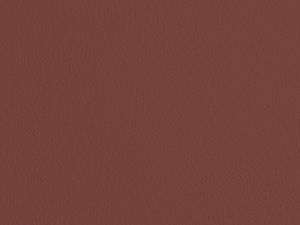 0384 Красное железо