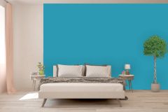 RAL 660-1