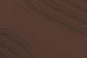 0298 Темно-бордовый