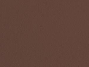 0298 Темно-бордовый