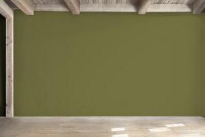 M386 Амазонка