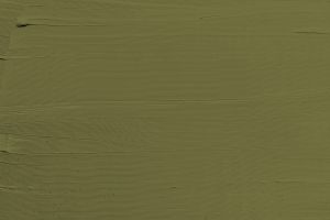 M386 Амазонка