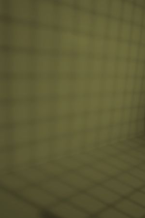 M386 Амазонка