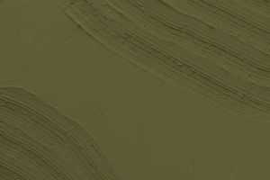 M386 Амазонка