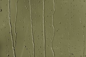 M386 Амазонка