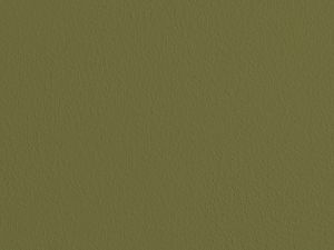 M386 Амазонка