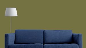 M386 Амазонка