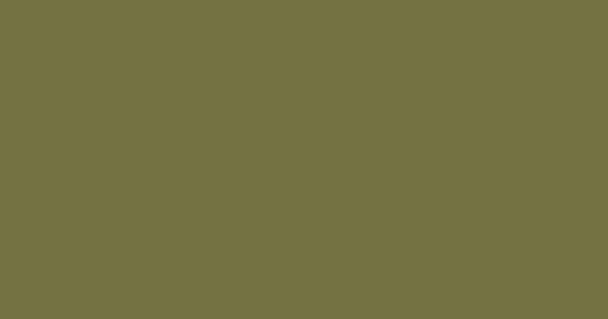 Колір M386 Амазонка rgb(116, 113, 66)