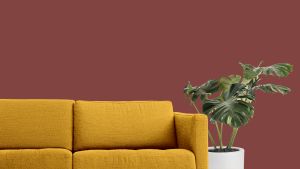 0517 Дачный домик