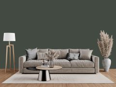 N378 Фикус