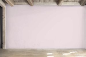 Y335 Жевательная резинка