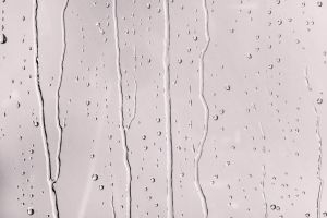 Y335 Жевательная резинка