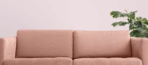 Y335 Жевательная резинка