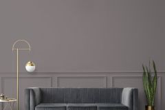 N501 Анданте