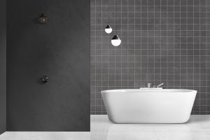 V488 Затмение