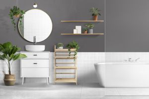 V488 Затмение