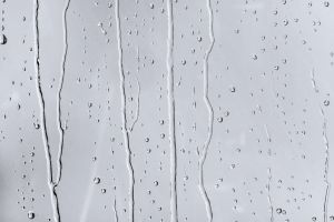 Y348 Антарктика