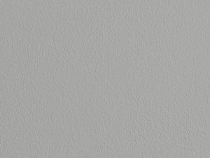 0423 Серый туман