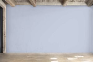 X348 Ледилайк