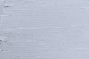 X348 Ледилайк