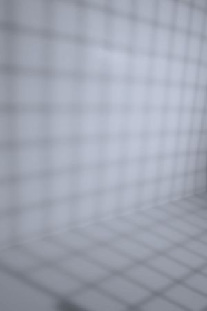 X348 Ледилайк