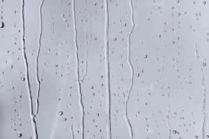 X348 Ледилайк