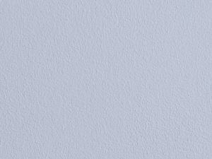 X348 Ледилайк