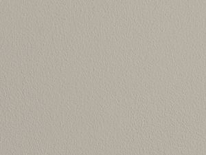 0217 Серый бетон