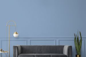 S352 Голубянка