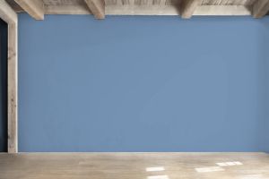 S352 Голубянка