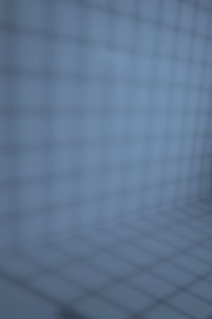 S352 Голубянка