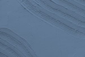 S352 Голубянка