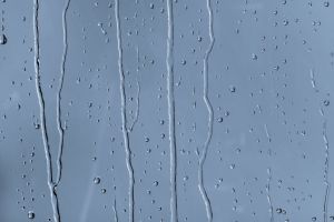 S352 Голубянка