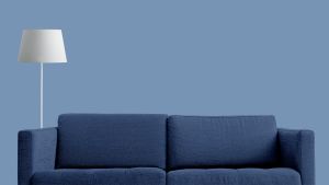 S352 Голубянка