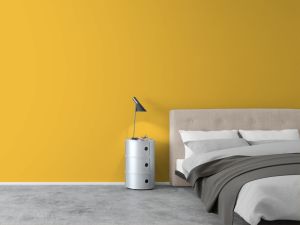 N301