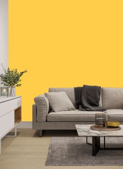 K302